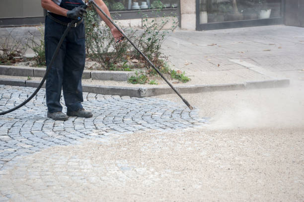 Best Spring Cleaning  in Chase, PA
